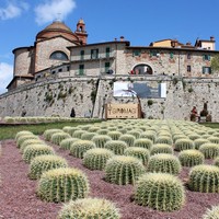 guida turistica castiglione lago