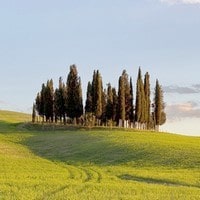 Guided tours in Tuscany