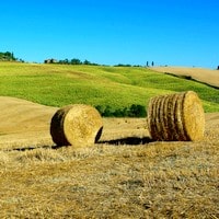 Guided tours in Tuscany