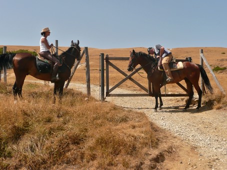 passeggiate cavallo montepulciano