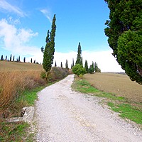 activities in tuscany