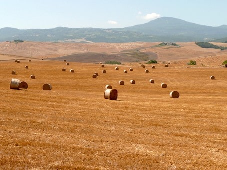 visita cantine montalcino