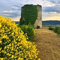 visita guidata lucignano