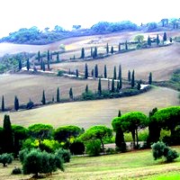 visita guidata pienza