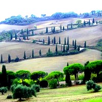 visita guidata pienza